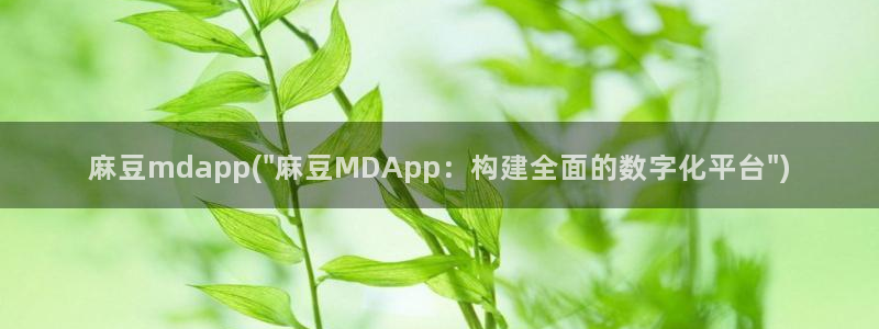 国产麻豆专区：麻豆mdapp(\