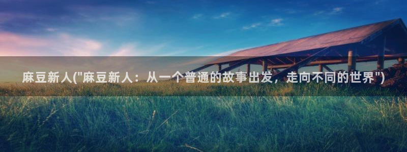 麻豆社区：麻豆新人(\