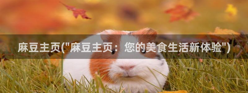 91蜜桃麻豆专区：麻豆主页(\