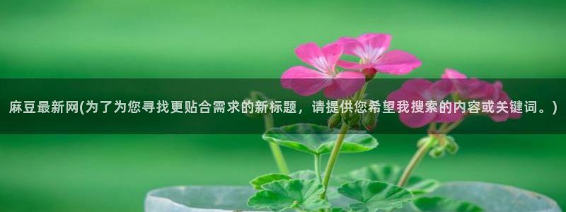 www.麻豆专区：麻豆最新网(为了为您寻找更贴合需求的新标题，请提供您希望我搜索