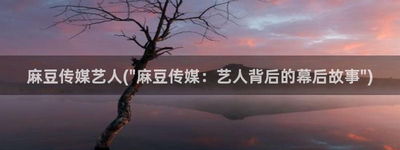 m麻豆：麻豆传媒艺人(\