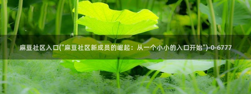 久久社区麻豆：麻豆社区入口(\