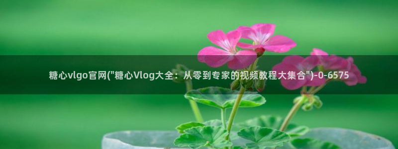 糖vlog原创：糖心vlgo官网(\