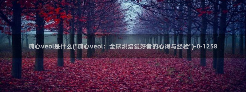 深夜释放自己vlog糖心德力西：糖心veol是什么(\