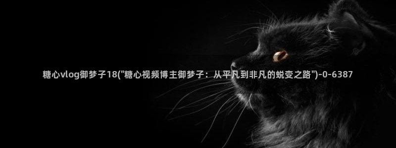 91糖心vlog：糖心vlog御梦子18(\