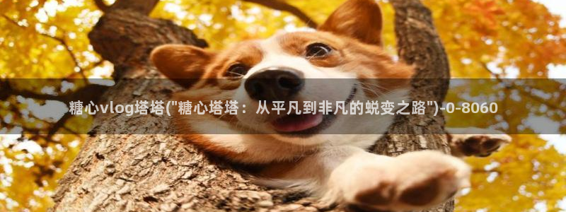 糖心vlog官网地址：糖心vlog塔塔(\