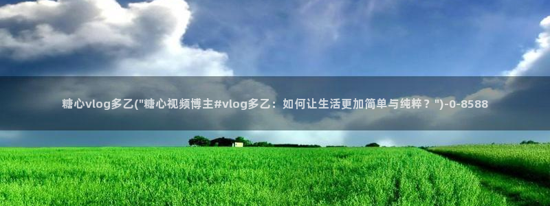 糖心vlog不见星空：糖心vlog多乙(\