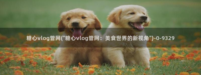 糖心vlog官网现在时间：糖心vlog管网(\