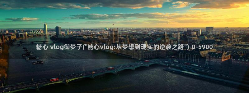 糖心vlog多乙：糖心 vlog御梦子(\