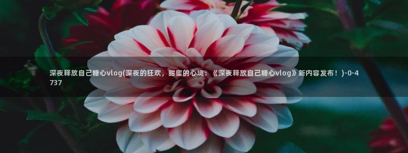 糖心官方vlog：深夜释放自己糖心vlog(深夜