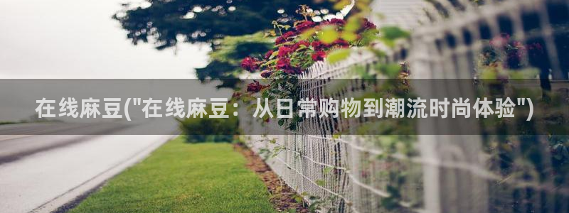 91蜜桃麻豆专区：在线麻豆(\