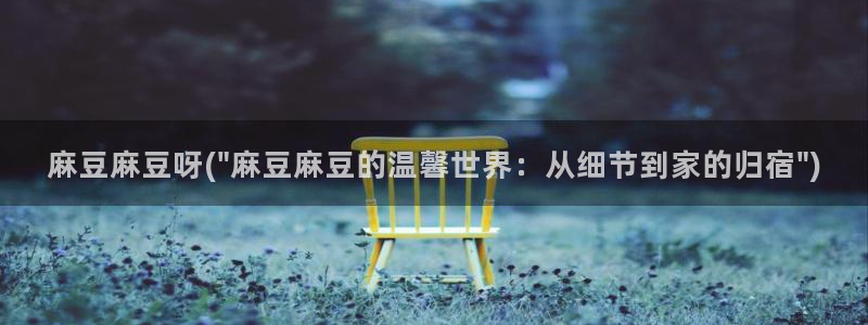 中文麻豆专区：麻豆麻豆呀(\